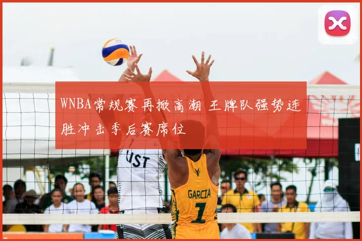 WNBA常规赛再掀高潮 王牌队强势连胜冲击季后赛席位
