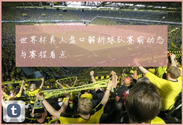 世界杯真人盘口解析球队赛前动态与赛程看点