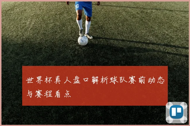 世界杯真人盘口解析球队赛前动态与赛程看点